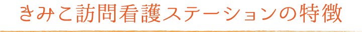 訪問看護ステーションの特徴